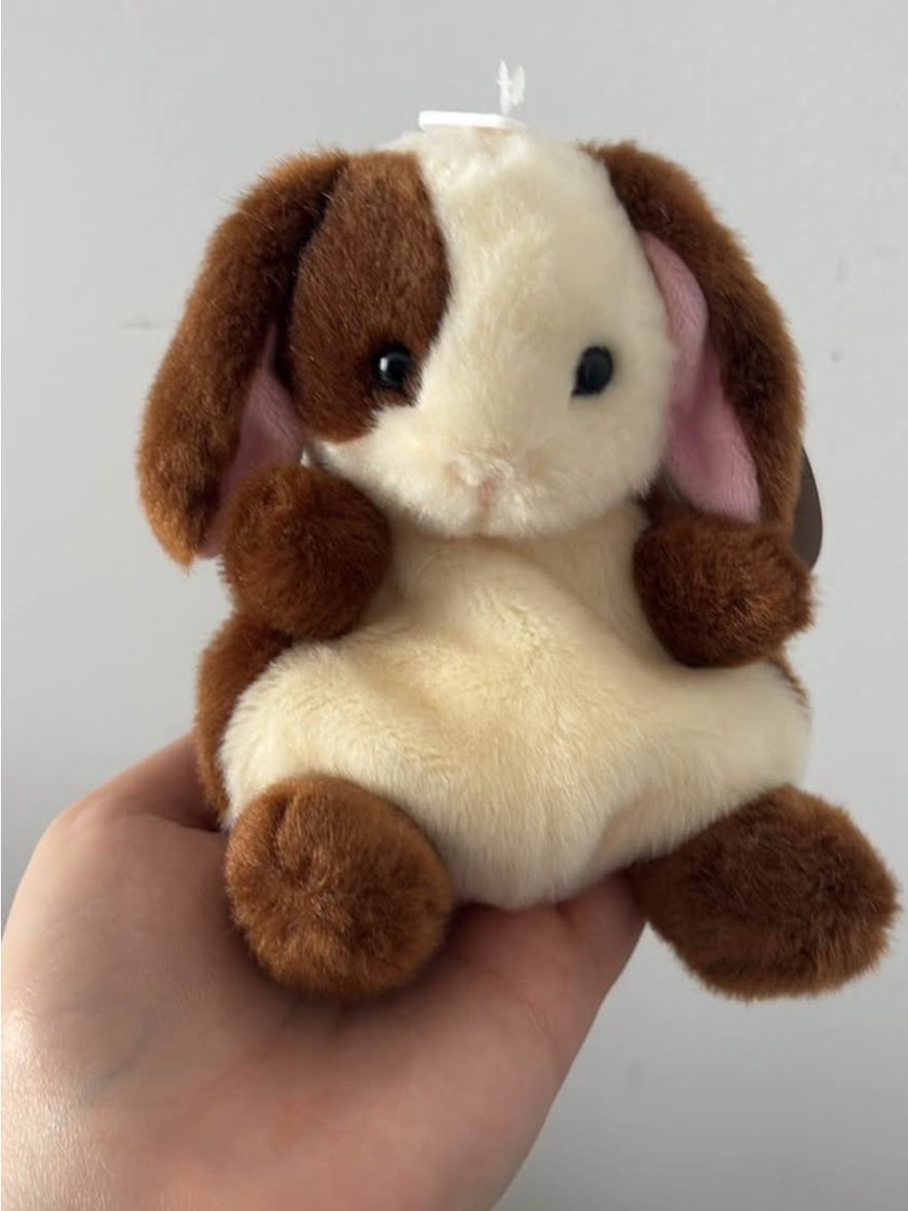 Plush Bunny Toy for Small Pets - Brown & Cream
